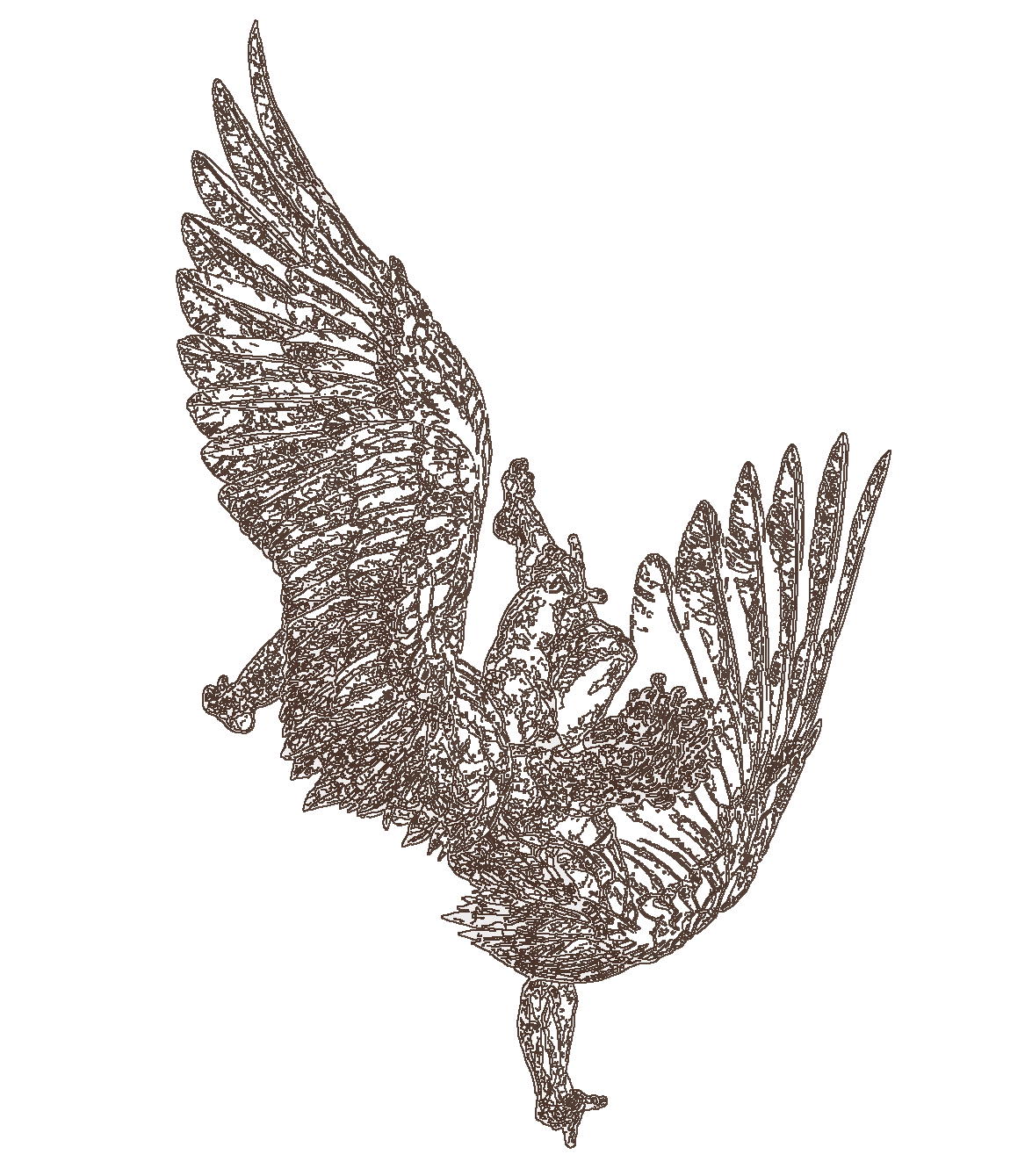 Antique-style line drawing of Icarus falling with wings extended